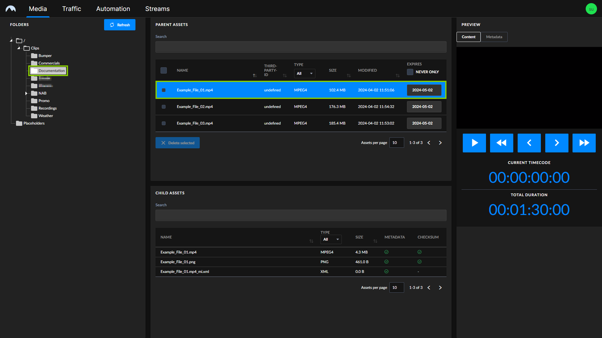 Asset Viewer - File selected