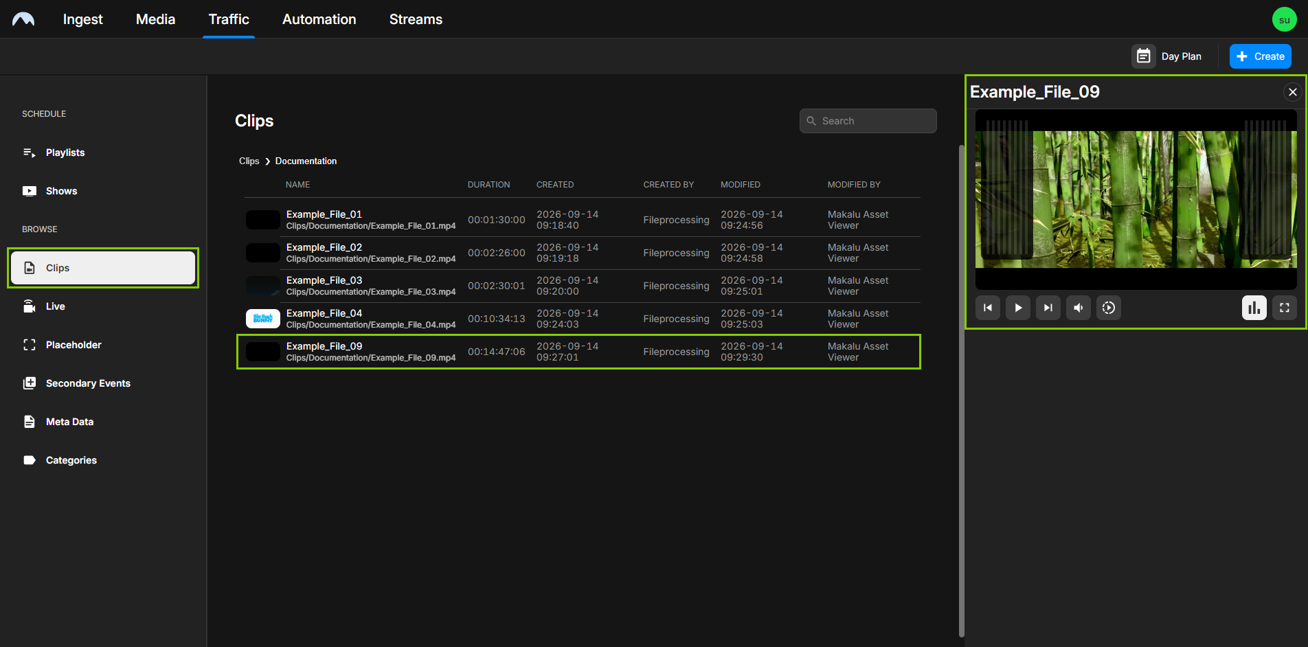 Traffic - Clip preview (clip opened in the Browse area)